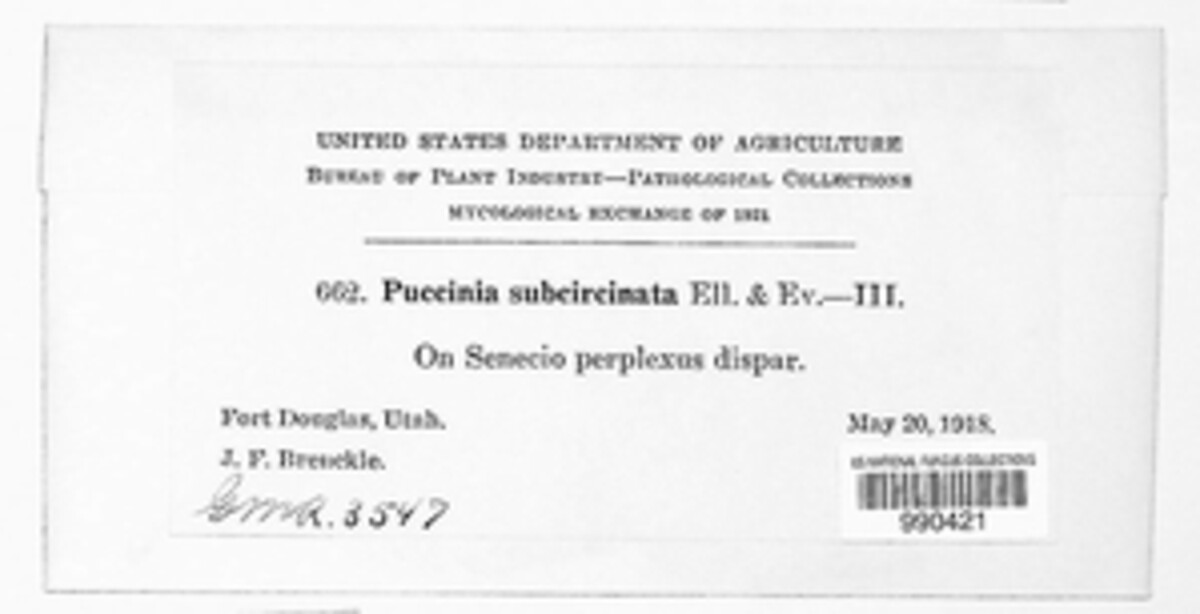 Puccinia subcircinata image